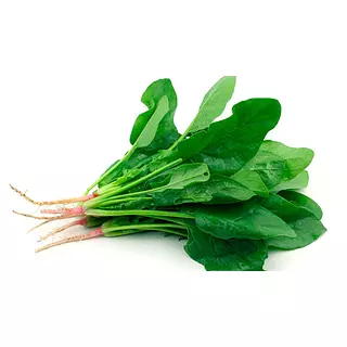 Bolsa Espinaca