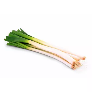 Cebolla Larga 